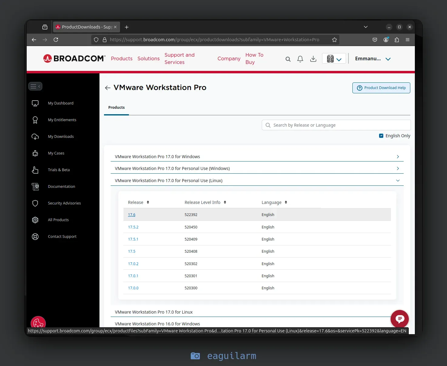 vmware-ubuntu-24.10-4